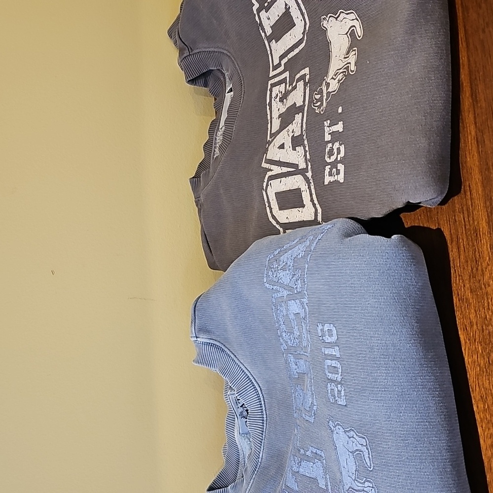 Mens GOAT USA Gray and Blue Graphic Sweatshirts